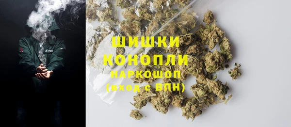 СК Ельня