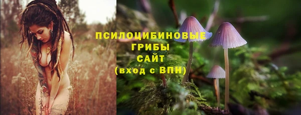 СК Ельня