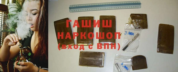 СК Ельня