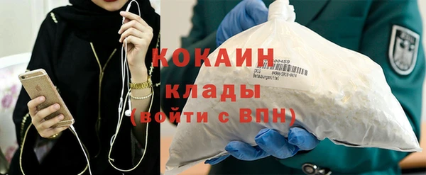 СК Ельня