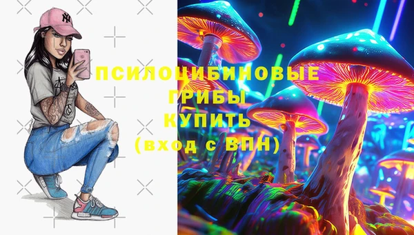 СК Ельня