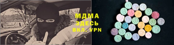 СК Ельня