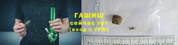 СК Ельня