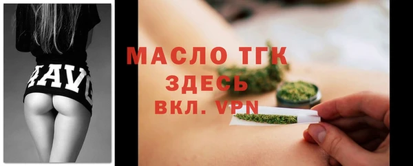 СК Ельня