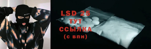 СК Ельня
