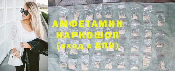 СК Ельня