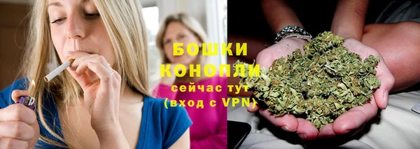 СК Ельня