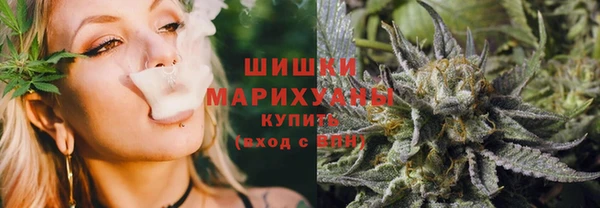 СК Ельня