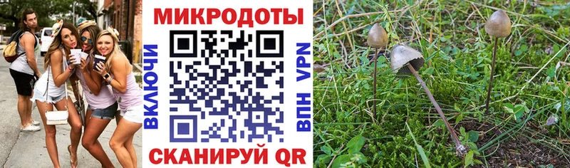 Купить закладки  Кубинка  Псилоцибиновые грибы Cubensis 