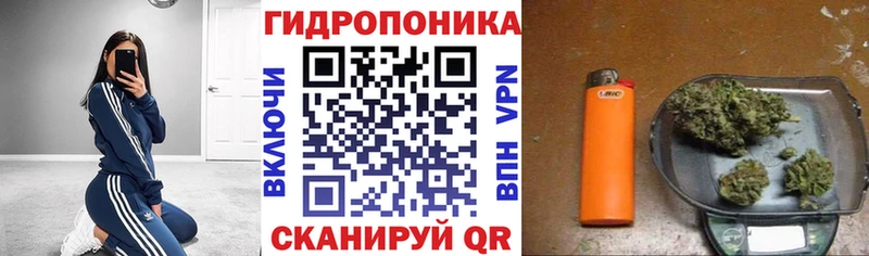 Купить закладки  Кубинка  Бошки марихуана марихуана 